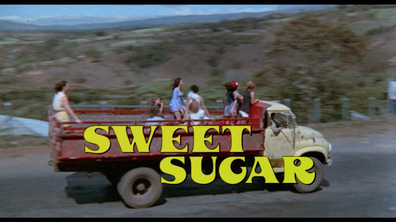 Sweet Sugar (1972) Opening Credits Phyllis Davis YouTube