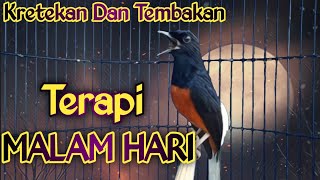 MASTERAN MURAI BATU GACOR MALAM HARI, NAIKAN EMOSI MURAI BATU LAIN JADI CEPAT GACOR PART. 38