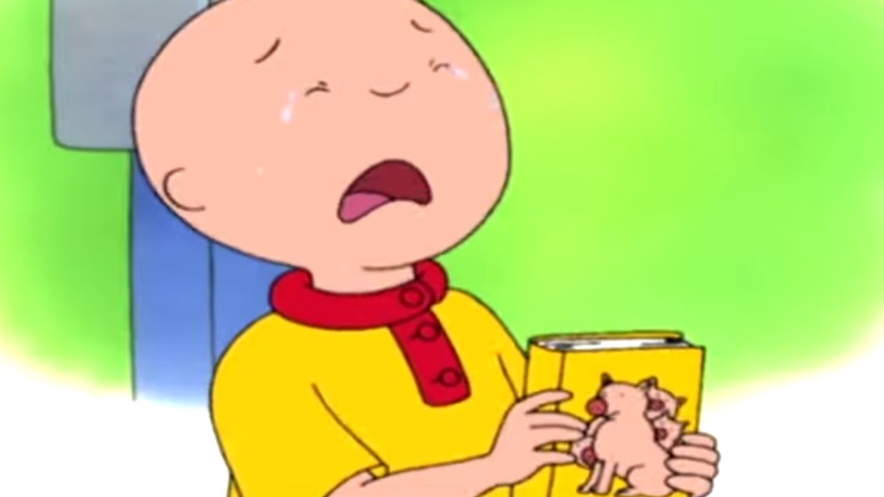 Kajtus i Cudowny Świat Książek | Kajtuś po Polsku [Caillou] - WildBrain