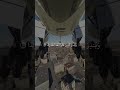landing here,#shortsvideo #engineering #besttrick