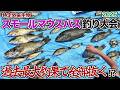 過去最大釣果!櫛田川のスモールマウスバスぜんぶ抜く!?