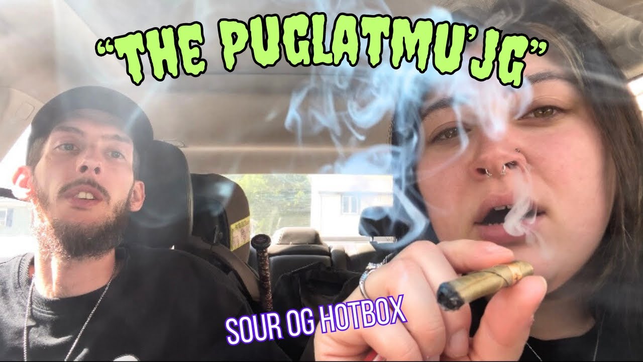 Car sesh + native folklore?