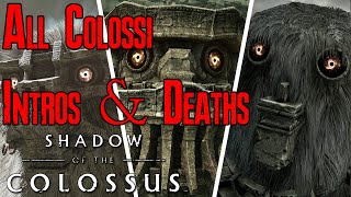 Shadow of the Colossus - All Colossi Intros & Death Scenes (4K)