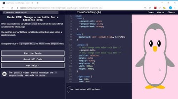 Basic CSS (43/44) | Change a variable for a specific area | freeCodeCamp