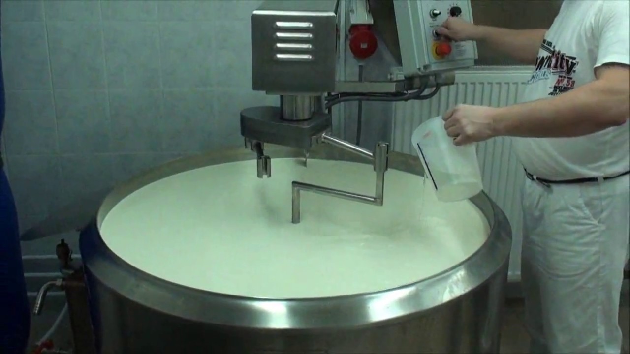 Cheese making 400l milk with Plevnik equipment 