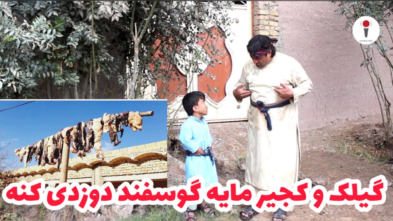 گیلک و کجیر گوسفند لندی دوزدی میکنن😂