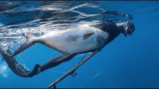 Celebrity Neritic Diving by CJ Duffie Net Worth