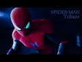 Spider man tribute  mcu tribute