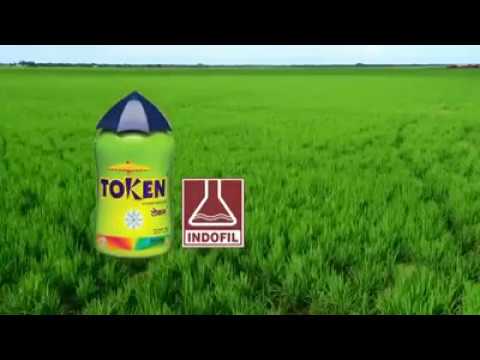 Token (Dinotefuran 20% SG) Insecticide | Indofil | Nitu |Saini Beej ...
