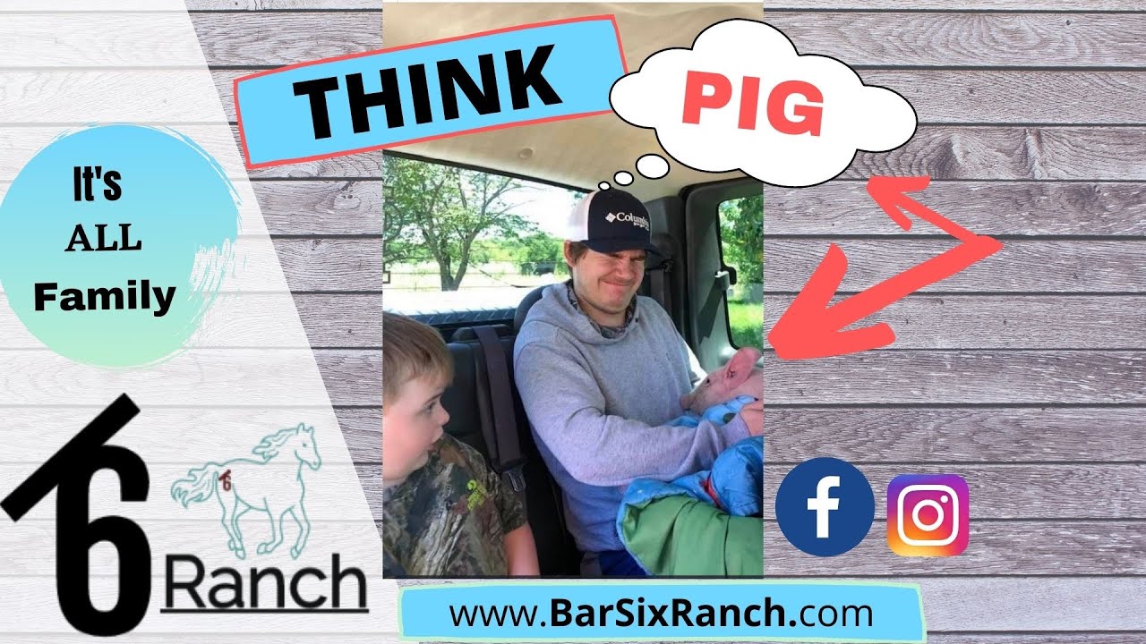 Think Pig @Bar6 Ranch