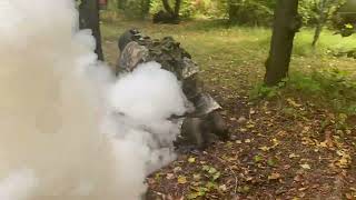 2-е место на турнире Военно-тактическая игра💥Охолощенное оружие(СХП)🔫Реалистичная имитация #shorts screenshot 5