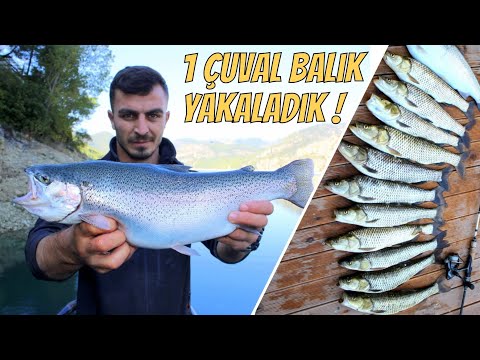 Video: Ekilen Akvaryumlarda Kullanılacak İlk 3 Yüzey