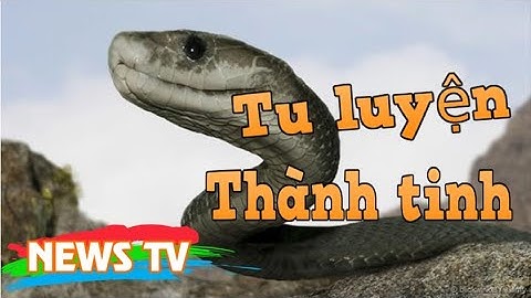 Bí ẩn Rắn Khổng Lồ tu luyện thành tinh trên núi Cấm – An Giang