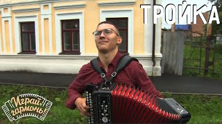 Тройка | Илья Каргин (г. Тюмень) | Играй, гармонь!