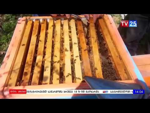 შეწამვლითი ღონისძიება აზიური ფაროსანას წინააღმდეგ