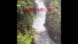 温哥华吊桥公园  Vancouver Lynn canyon suspension bridge