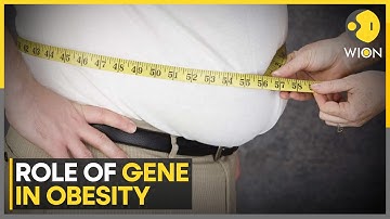 Chinese scientists identify gene that may protect against obesity | WION