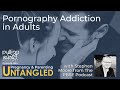 Pornography addiction in adults with stephen moore from the pbse podcast  episode 84