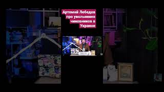 Артемий Лебедев про увольнения чиновников в Украине