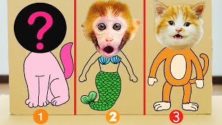When Baby Monkey BiBo Play with Cheese Kitten | Animals Home & Animal HT