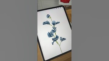 Procreate Easy Tutorial #procreatetutorials #procreate #beginnerarttips