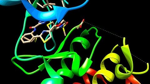 Putting Molecular Dynamics Simulations in a Presentation