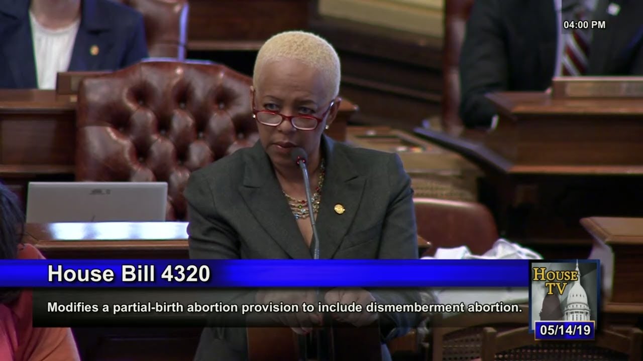 detroit become human Rep. Cynthia A. Johnson Speaks Against on Republican Attack on Reproductive Health Care
