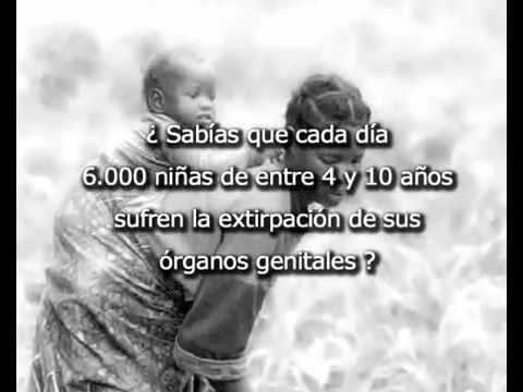 Vídeo: Debatir La Medicalización De La Mutilación / Ablación Genital Femenina (MGF / C): Aprender De Las Experiencias (políticas) En Todos Los Países
