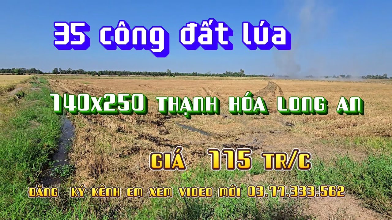 Phát hiện  34 công đất  siêu đẹp tại thạnh hóa long an giá  115 tr/c