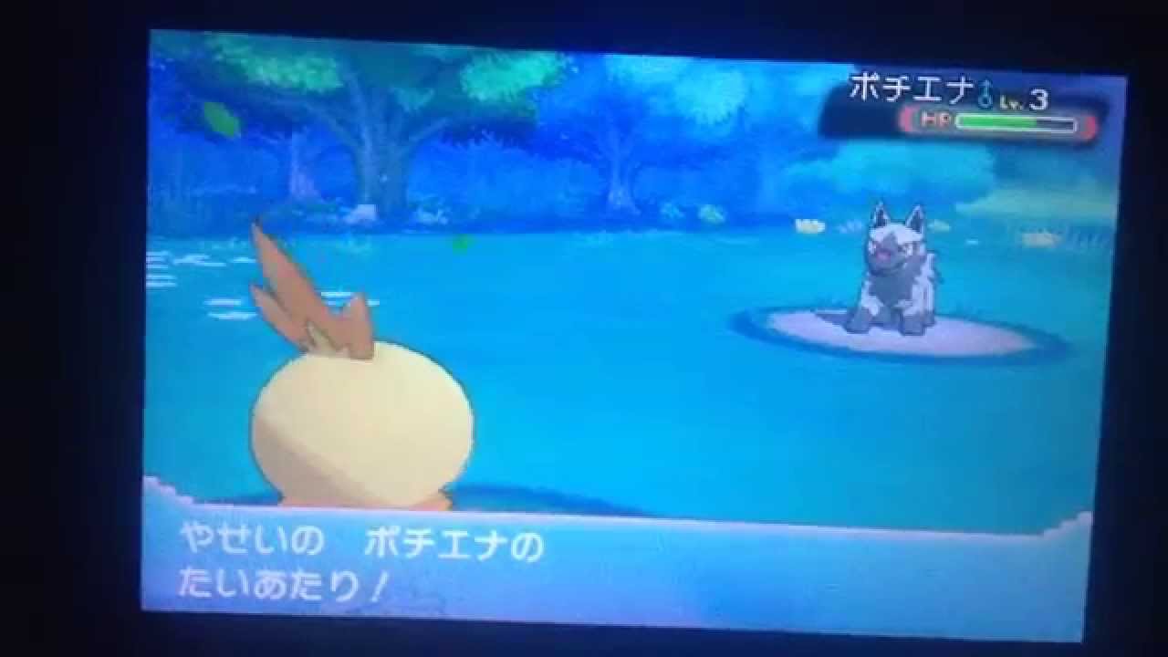 ポケモンoras オダマキ博士から貰ったアチャモが色違いだった Youtube