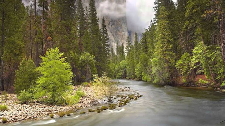Psalm 1