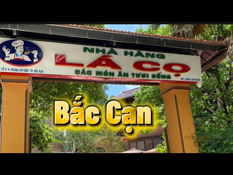 Thưởng Thức Cá Chép Om Dưa Ở Bắc Cạn @hothuofficial7340 