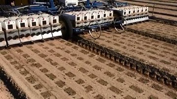 Blue River Technology - Lettuce Thinning