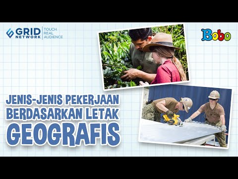 Video: Penanaman sayur-sayuran sepanjang tahun di rumah hijau sebagai perniagaan