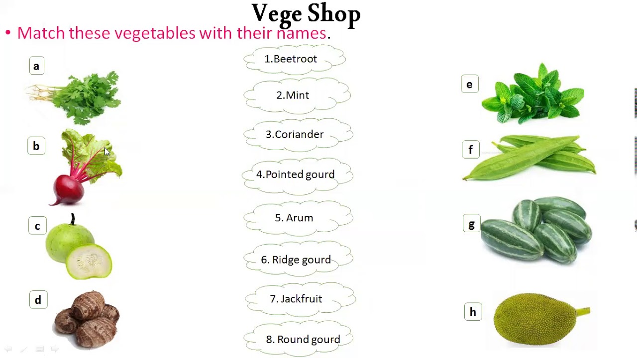 General Knowledge Class 3About Fruits, Vegetables and Dry Fruits