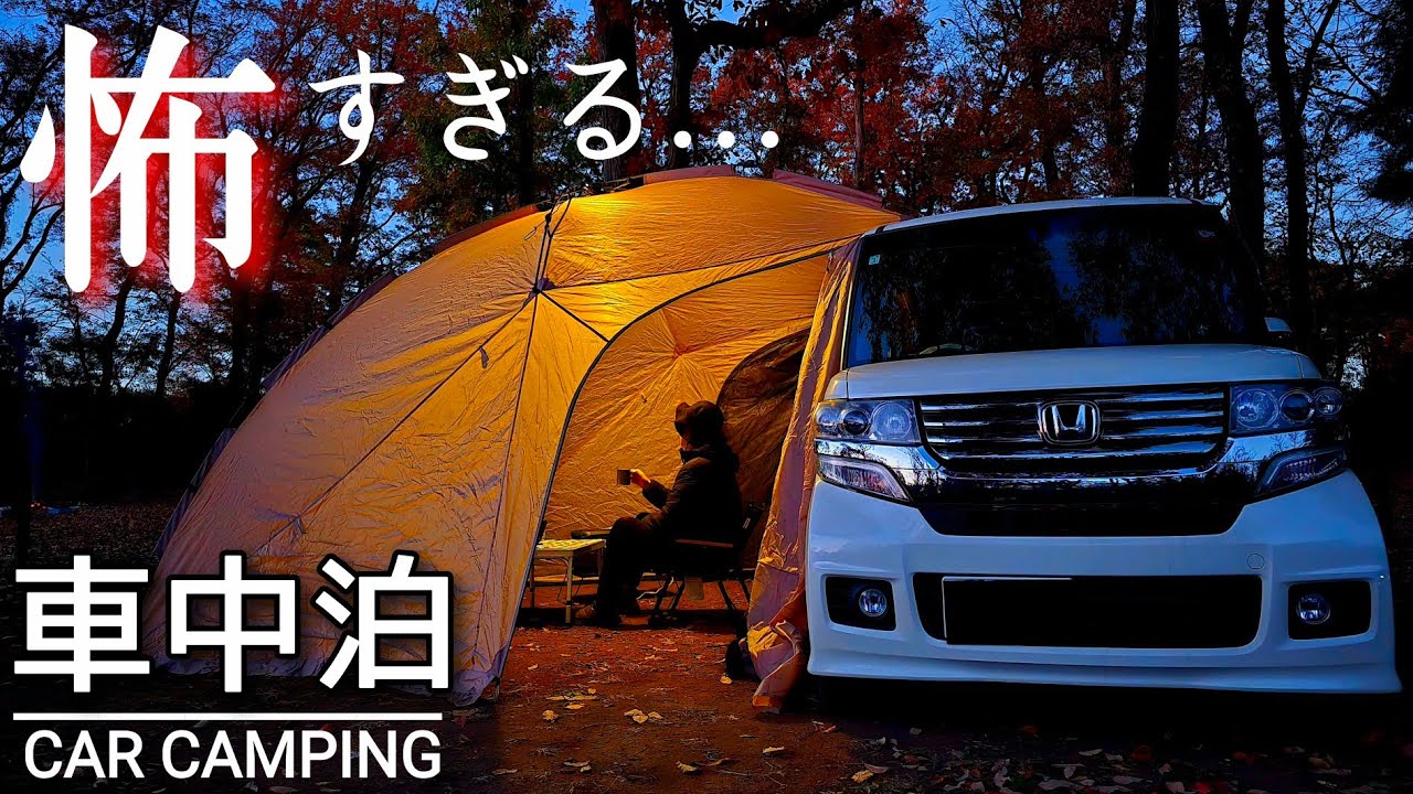 【不審者？】車中泊キャンプをしていたら二人組が突然やってきて… 怖くて帰りました／DJI Power 1000 V2 カーサイドシェルター