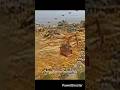 Hezbollah FPV Drone Hits Rare Israeli Namer IFV (30mm Cannon)
