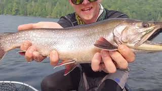 Battling Brookies deep in Algonquin Park