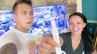 Pregnancy Test Results