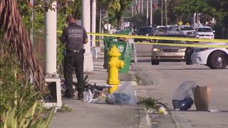 Man struck, killed by hit-and-run driver in Miami
