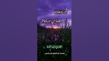 #القرآن_الكريم #تلاوة_خاشعة #اكسبلور #ماهر_المعيقلي #ياسر_الدوسري #قرآن #لايك #ترند #تلاوات #تيك_توك