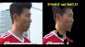 cpu real time people segmentation