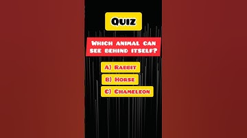 Q-13. How Smart Are You Quiz | General Knowledge Quiz | GK Quiz | Trivia Quiz | GK | Quiz | #shorts