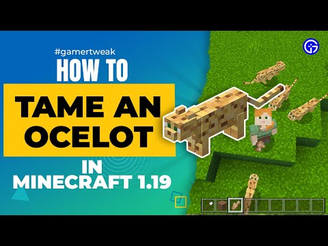Videó: A minecrafton hogyan lehet megszelídíteni egy ocelotot?