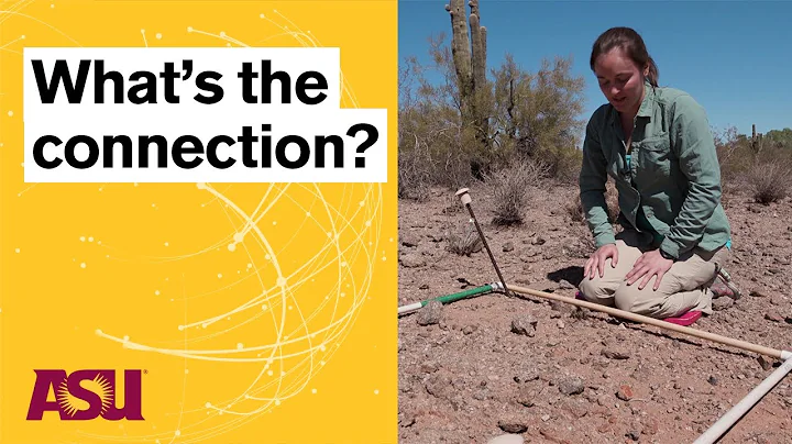 Spotlight on Nature: Catalyst