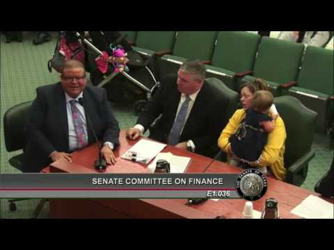 Senate Finance - HHSC Deputy Commissioner Discusses Guarantee of Services - January 31, 2017