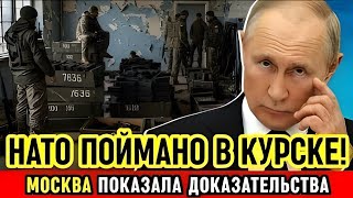 💥 СЕКРЕТ УКРАИНЫ РАСКРЫТ! НАТО поймали с поличным в России — мир в шоке!