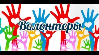 Почему я волонтер?!