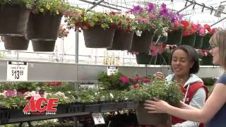 Hurst Ace Hardware in Cedar City and St George