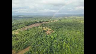 Land For Sale - 231ac - Walker County AL - Honey Hole Tract